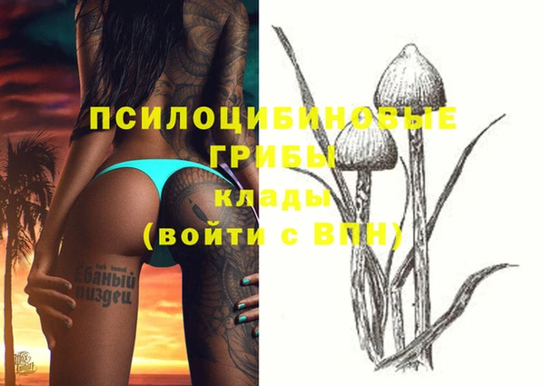 mix Козловка