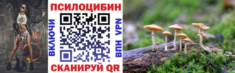 Псилоцибиновые грибы MAGIC MUSHROOMS  Купить  Томск 
