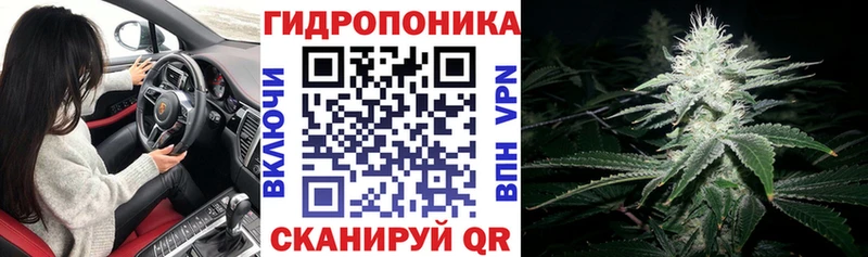 Купить закладки  Томск  Конопля Ganja
